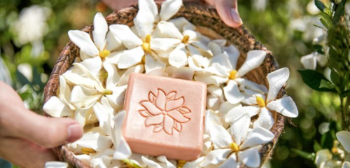 在生态友好的旅途中，爱上泰顺 可持续旅游项目开发与管理的探索